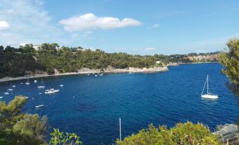 Typical Toulon Apartment 50M Beaches