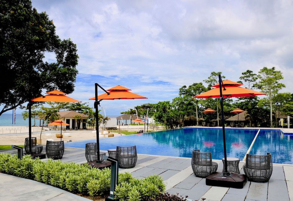 1. 코콘 클럽 라이..