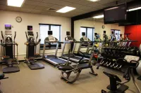 Hilton Garden Inn Chicago O'Hare Airport - gimnasio