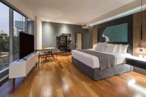 NH Collection Guadalajara Providencia