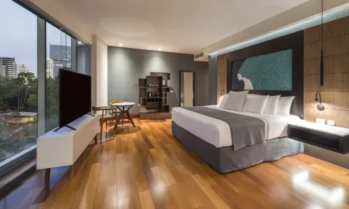 瓜達拉哈拉普羅維登西亞NH典藏飯店