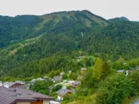 Hauts de Morthey No 33 Hotels in Leytron