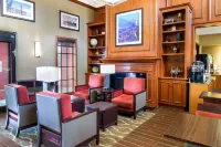 Comfort Inn & Suites San Francisco Airport North Hotels in South San Francisco