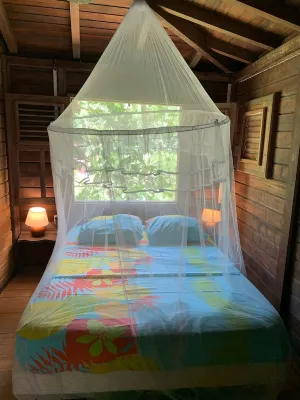 Ecolodge Martinique
