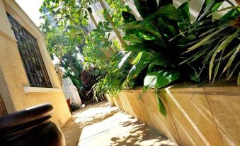 Beachwalk Bed and Breakfast - #Solar Energy #No Loadshedding