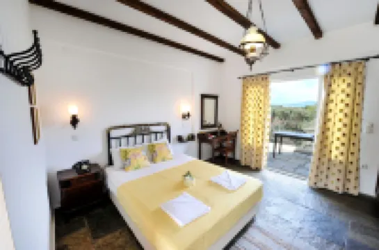 Gera's Olive Grove - Elaionas Lesvou