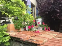 Skylark Bed & Breakfast Hotels in Grasse