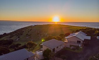 Sea Dragon Kangaroo Island