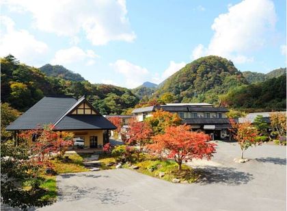 美人湯 瀨美溫泉 桐之花・山吹之花