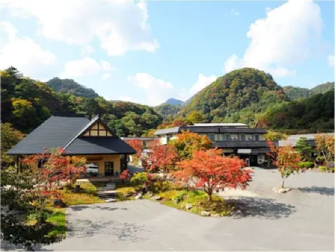 美人湯 瀨美温泉 桐之花・山吹之花