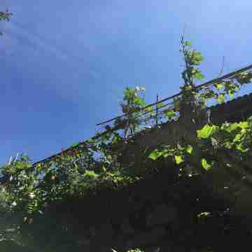 莫幹山生琴民宿（曉於線分店） Hotel Exterior