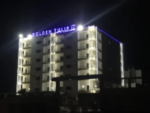 Golden Tulip Hotel Alexandre Hotel a 