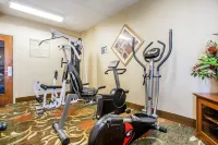 Quality Inn Vineland - Gym