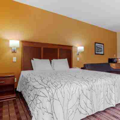 Best Western Plaquemine Inn Rooms