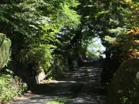 Nakadanaso Hotel di Komoro
