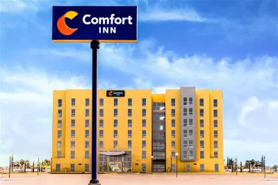 Comfort Inn Delicias Отели в г. Педро Меоки