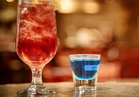 Bismarck Hotel and Conference Center - bar