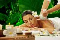 Coral Resort and Spa Centrally Heated Mountain Side Resort Manali - Spa