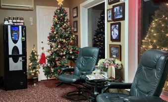 a room with two green chairs and a christmas tree in the corner , surrounded by various decorations at Country Inn Listowel