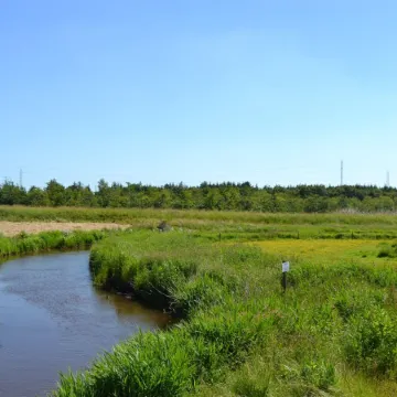 "Herman" - 22km from the Sea