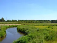 "Herman" - 22km from the Sea Hotels near Mindesten for Digebyggeriet