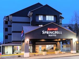 SpringHill Suites Rochester Mayo Clinic Area/Saint Marys