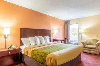 Econo Lodge Rocky Top Hotels in LaFollette