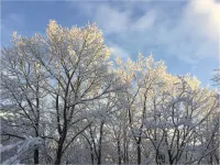 Merry King's Hotel a Distretto di Iwase