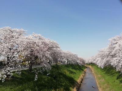 ホテル周辺 奈良パークホテルの写真