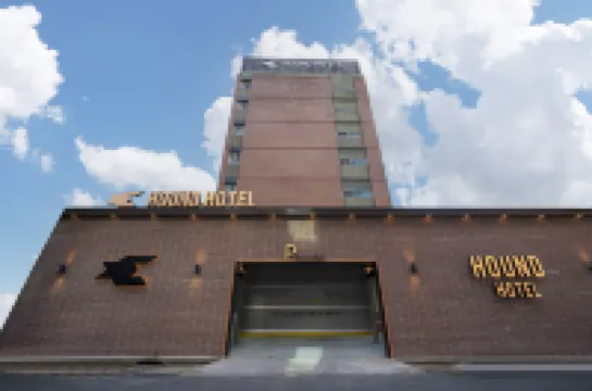 Daegu Dongdaegu Station Hound Daegu Dongdaegu Station