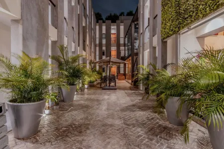 Youssef Exceptionnel Merida