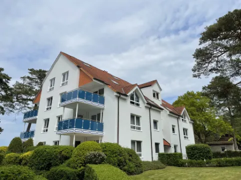 Blaumuschel (Lub118)