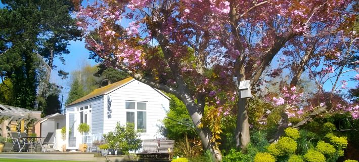 Birch House Bed & Breakfast Hotels in Weymouth