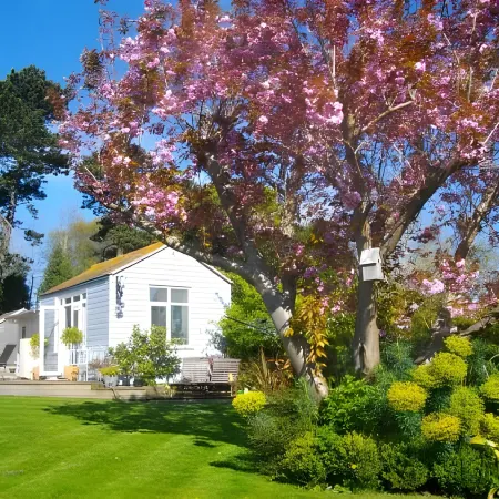 Birch House Bed & Breakfast
