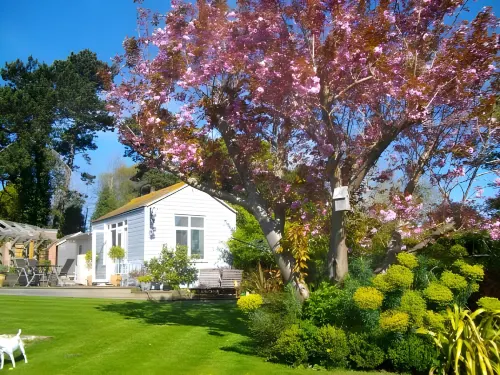 Birch House Bed & Breakfast - Desayuno