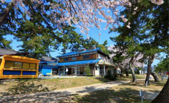 Matsunamiso