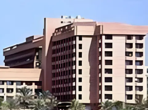 拉斯帕爾梅拉斯飯店