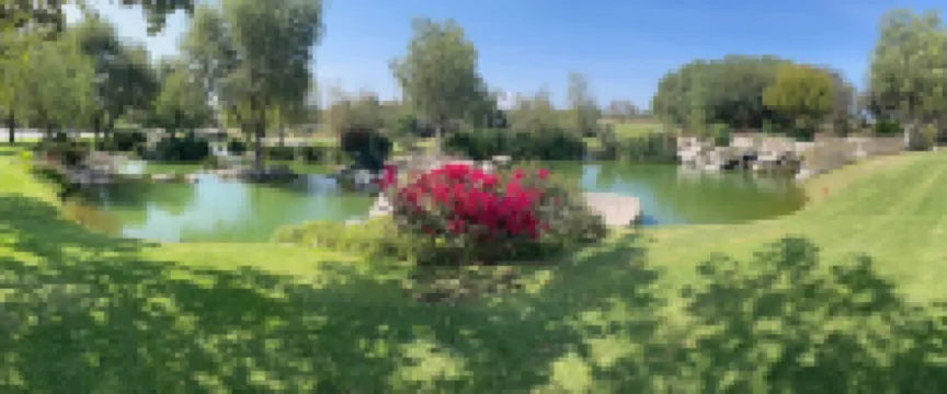 Serene Oasis in San Miguel de Allende 6-Bedroom Villa with Hot Tub