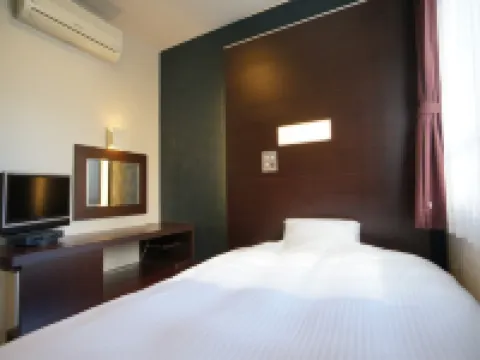 廣島新幹線人工溫泉二股湯之華格林裡奇飯店