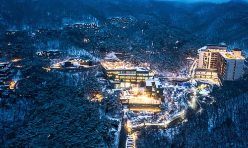 Restree and Forest Resom