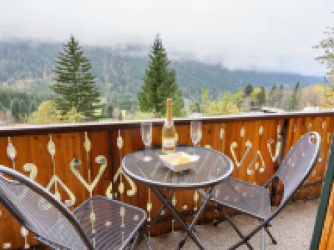 Fer à Cheval 沙泰勒酒店