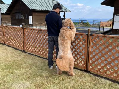 庭 京都・舞鶴ふるるファームコテージの写真
