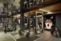 Four Points by Sheraton Prishtina City - Gym