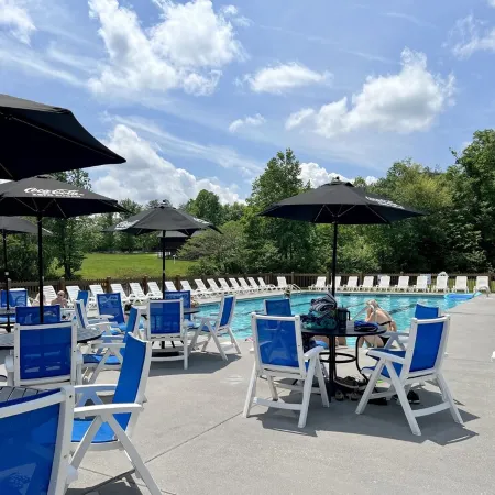 Cozy cabin 2 miles from Parkway! Secluded_Screen Porch_Wifi_Pool_Dog Friendly