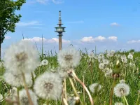 Eifel time-out - time-out is Eifel time / up to 4 people + child(ren) + four-legged friend - Wifi