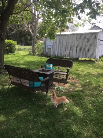 1850 Historic Log Cabin