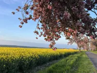Maison Chaleureuse Dans un Écrin Verdure Hotel di Vezillon