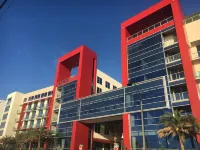 Stylish Oceanview  apartment in Hollywood Beach + 2 free bikes - Rooftop Pools
