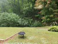 This secluded cabin is tucked away in the mountains. With a handicap access ramp