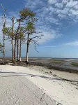 Cabin by the Bay A Unique Authentic Log Cabin by the Beach with Fenced Yard